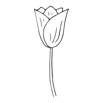 Tulip icon. Vector illustration of spring tulip flower. Hand drawn spring tul Stock Illustration