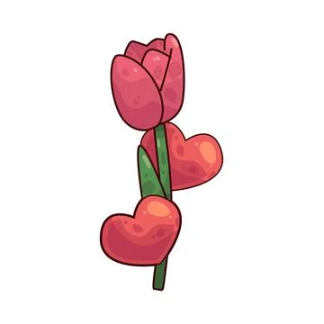 Tulip illustration Ilustração Stock