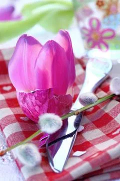 Tulip leaves Stock Photos