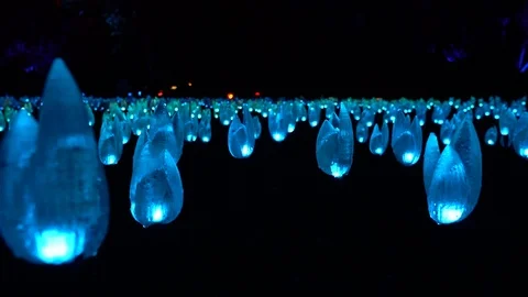 Tulip light display at night 動画素材 127148331