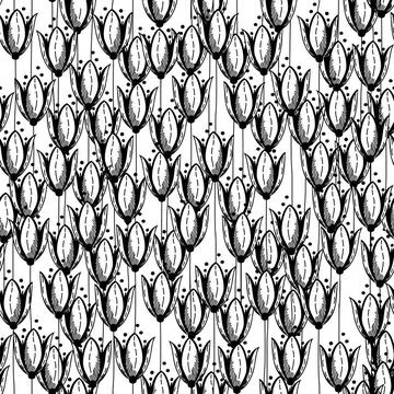 Tulip pattern design Seamless tulip background for design Copyright: xZoon... Foto stock