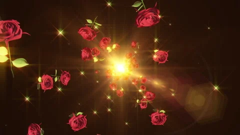 Tulip rose flower particle loop animation Stock Footage 147640342