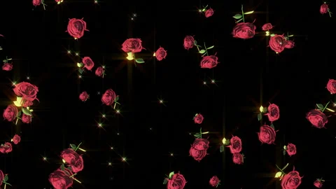 Tulip rose flower particle loop animation Stockbeeldmateriaal 147640345