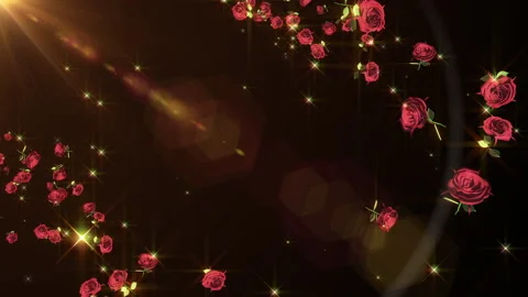 Tulip rose flower particle loop animation Vídeos de archivo 147640392