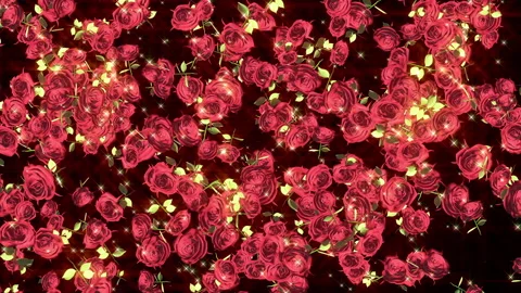 Tulip rose flower particle loop animation Stock Footage 147640393
