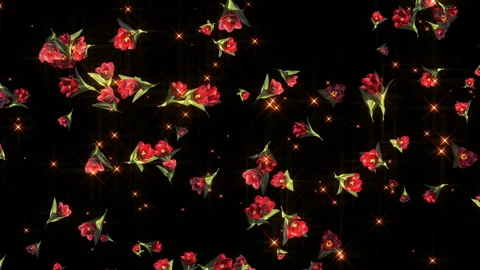 Tulip rose flower particle loop animation Stock Footage 147640465