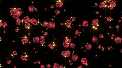 Tulip rose flower particle loop animation Stock Footage 147640468