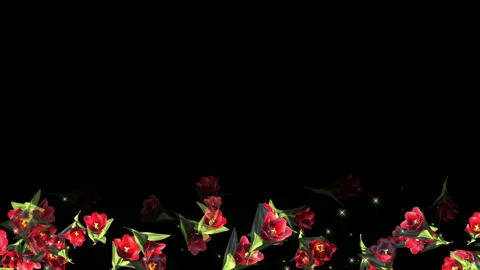 Tulip rose flower particle loop animation Vídeo Stock 147640778