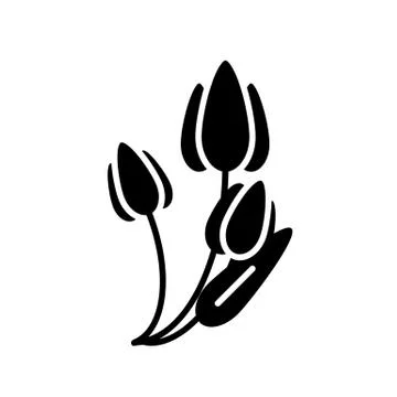 Tulip solid icon. Flowers vector illustration isolated on white. Three tulips Stock Illustration