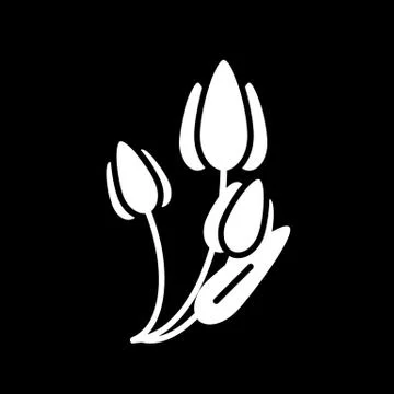 Tulip solid icon. Flowers vector illustration isolated on black. Three tulips Stock Illustration