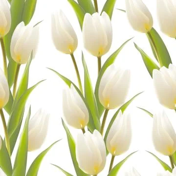 Tulip spring flowers seamless pattern. Illustrazione stock