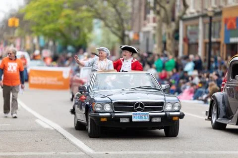 Tulip Time 2019 Stock Photos