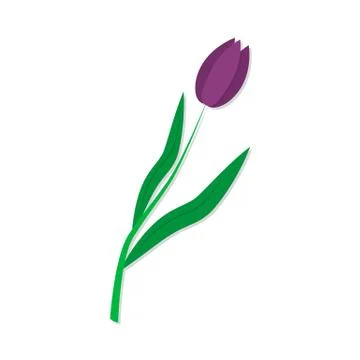 Tulip. Vector cartoon illustration in flat style. Isolated object. Stock Illustration