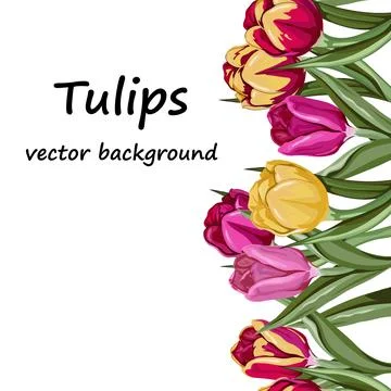 Tulip vector floral background design for greeting cards and print illustra.. Stock Illustration