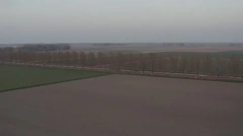 Tulipfield in The Netherlands #7 스톡 동영상 210730725