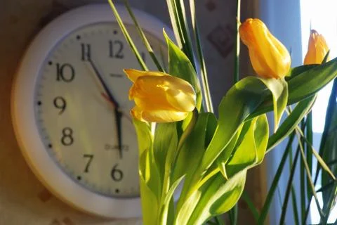 Tulips and clock Stock Photos