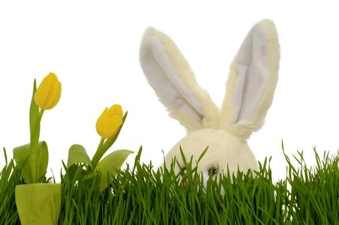 Tulips and easter bunny Stock Photos
