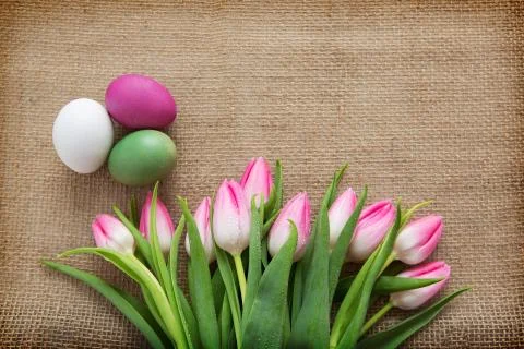 Tulips and easter Eggs on brown cloth Background. Stock Photos