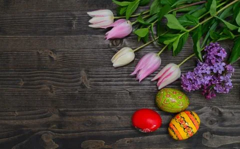 Tulips and eggs background Stock Photos