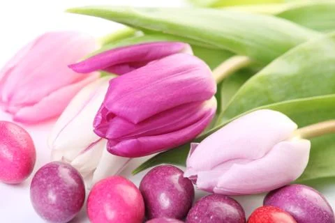Tulips and eggs Stock Photos