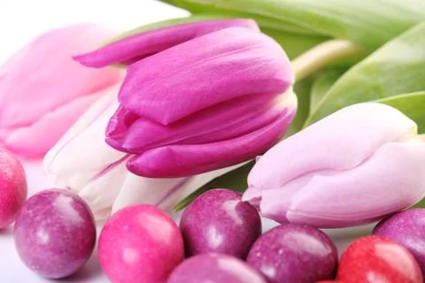 Tulips and eggs Stock Photos