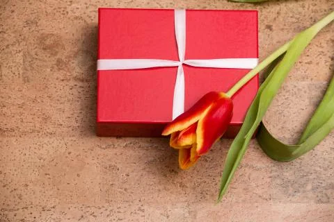 The tulips and gift box on cork floor Stock Photos