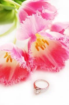 Tulips and ring Stock Photos