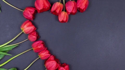 Tulips Appear in The Shape of a Heart on a Black Background. 스톡 동영상 75003989
