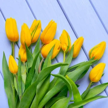 Tulips are on the table. Stock Photos
