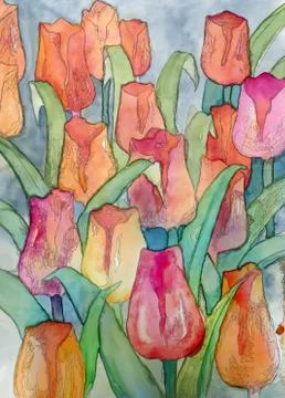 Tulips artwork with black contour Stock Illustration