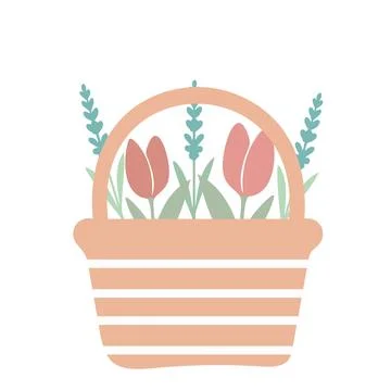 Tulips in Basket. Flat Vector Design Stock Illustration