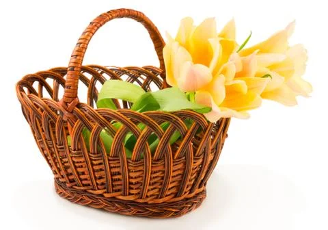 Tulips in basket Stock Photos