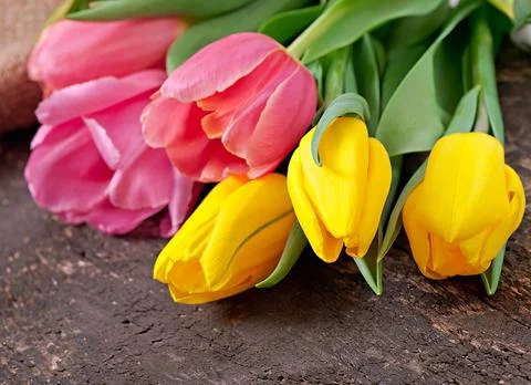 Tulips Bouquet Fotos Stock