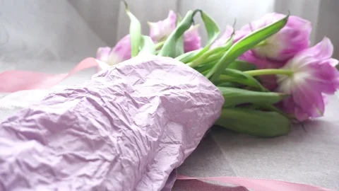 Tulips bow Stock Footage 74537230