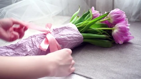 Tulips bow Stock Footage 74537255