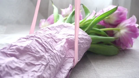 Tulips bow Stock Footage 74537264