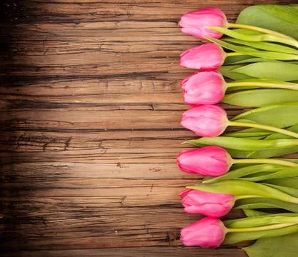 Tulips bunch for spring on table Stock Photos
