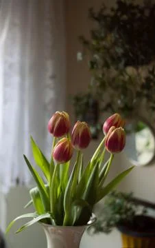 Tulips in a ceramic vase - rustic kitchen interior with spring flowers Stock Photos