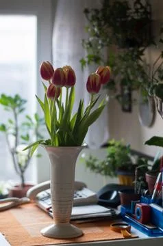 Tulips in a ceramic vase - rustic kitchen interior with spring flowers Stock Photos