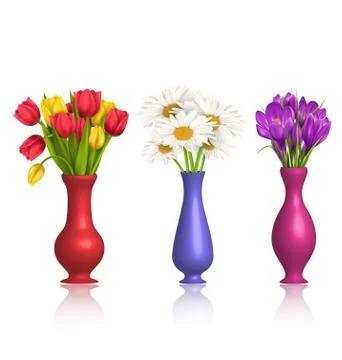 Tulips chamomiles and crocuses in vases with reflection on white Illustrazione stock