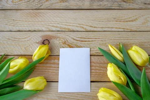 Tulips with copy space Foto stock