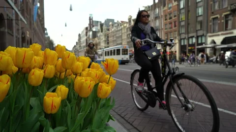 Tulips on the Damrak, Amsterdam's Main City Street, the Netherlands in 4K Stock Footage