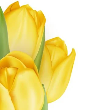 Tulips decorative background. EPS 10 Stock Illustration