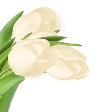 Tulips decorative background. EPS 10 Stock Illustration