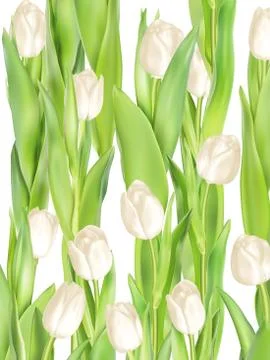 Tulips decorative background. EPS 10 Stock Illustration