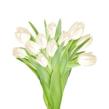 Tulips decorative background. EPS 10 Stock Illustration