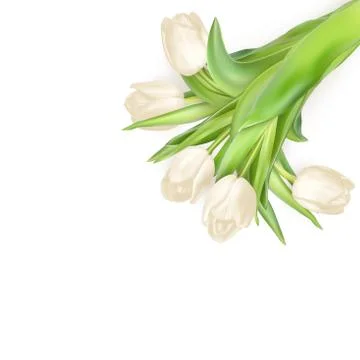 Tulips decorative background. EPS 10 Stock Illustration