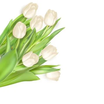 Tulips decorative background. EPS 10 Stock Illustration