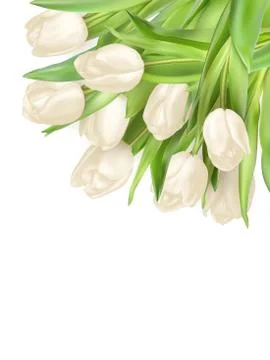 Tulips decorative background. EPS 10 Stock Illustration