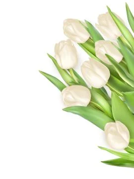 Tulips decorative background. EPS 10 Illustrazione stock